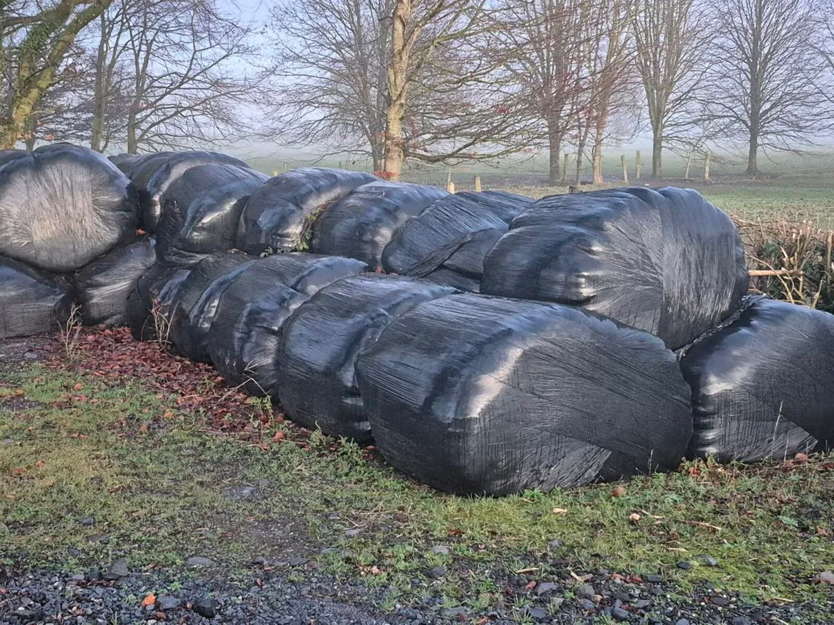 Silage bales
