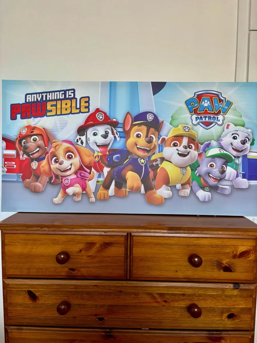 Large Paw Patrol Picture