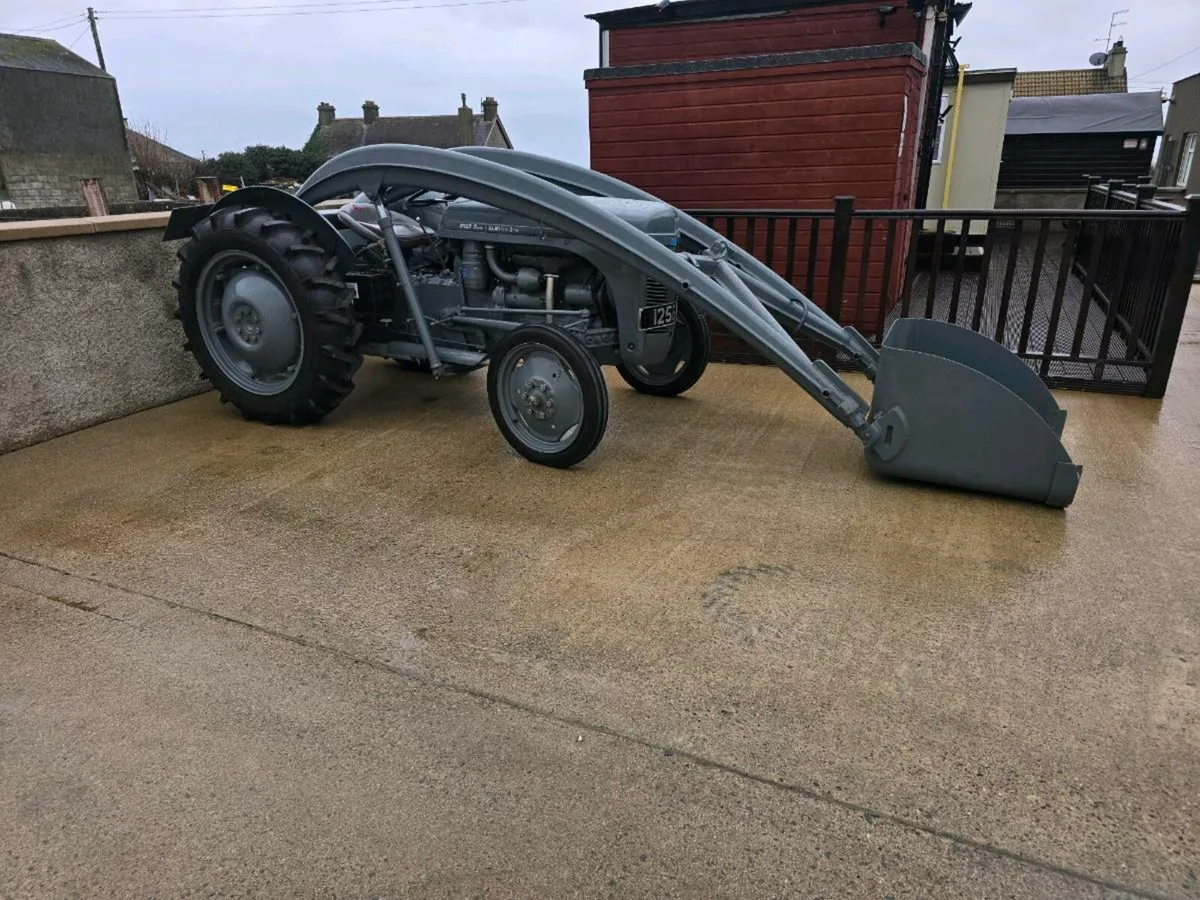 Massey ferguson fergie tractor with banana loader - Image 3
