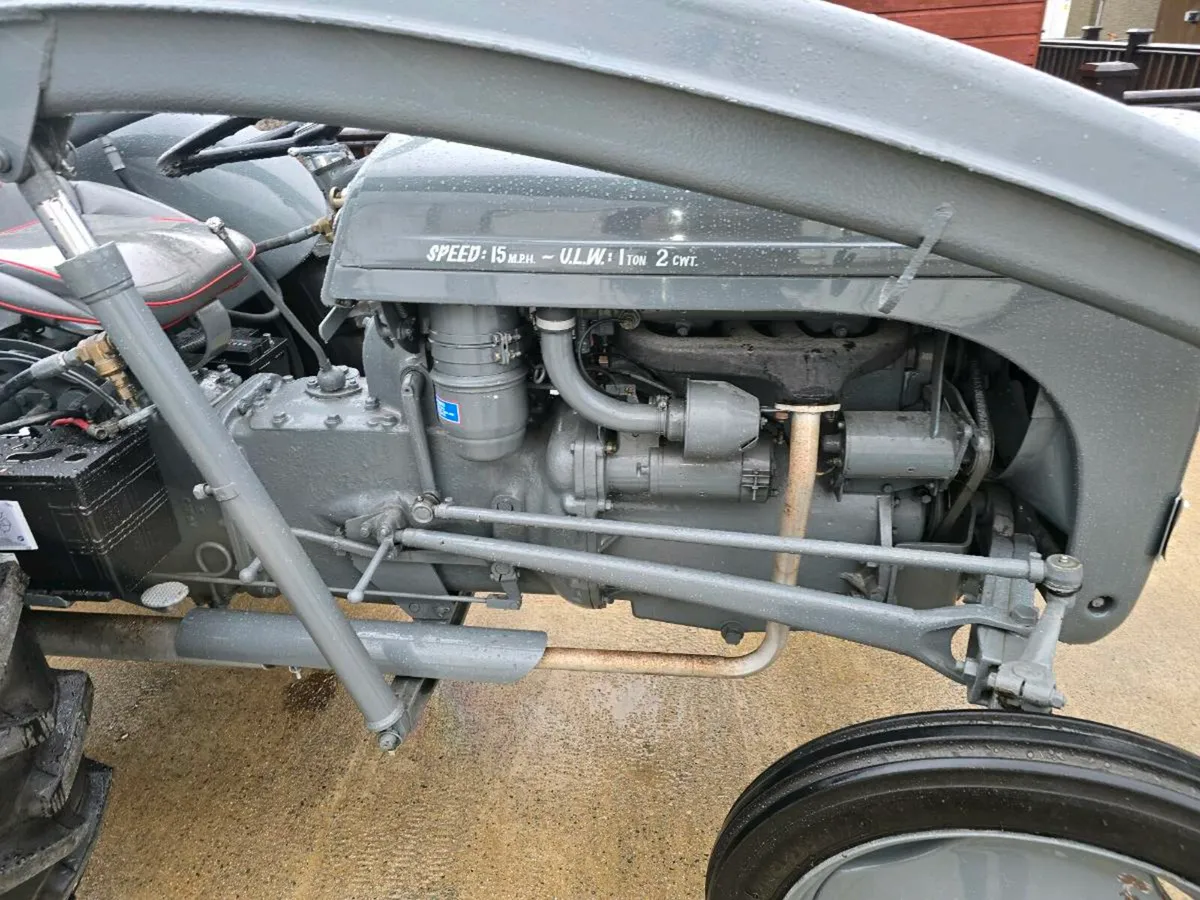 Massey ferguson fergie tractor with banana loader - Image 4