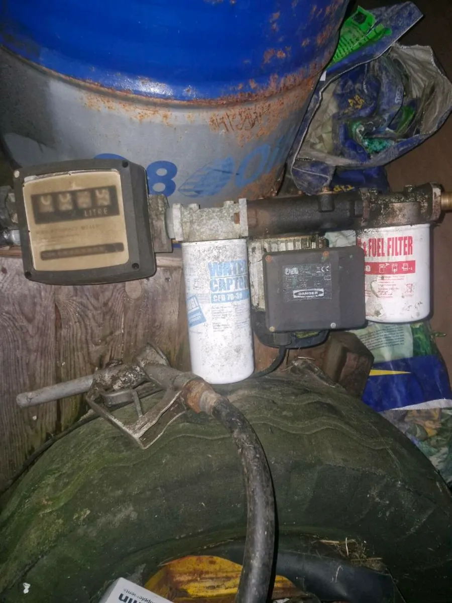 Yard clearance - Image 3