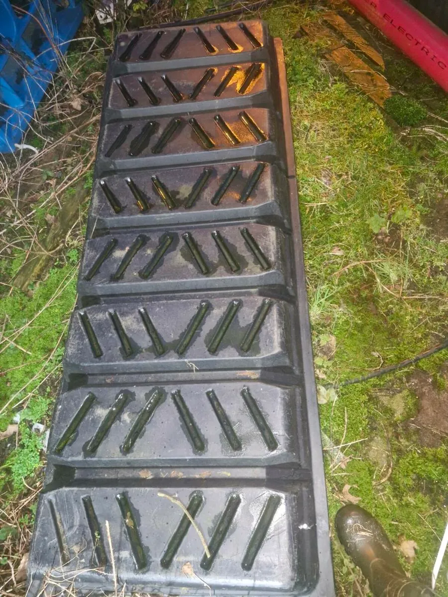 Yard clearance - Image 4