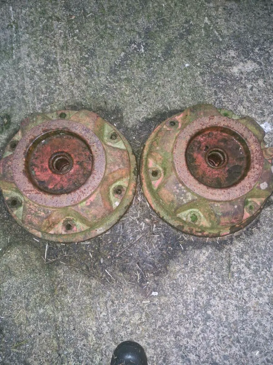 Yard clearance - Image 2