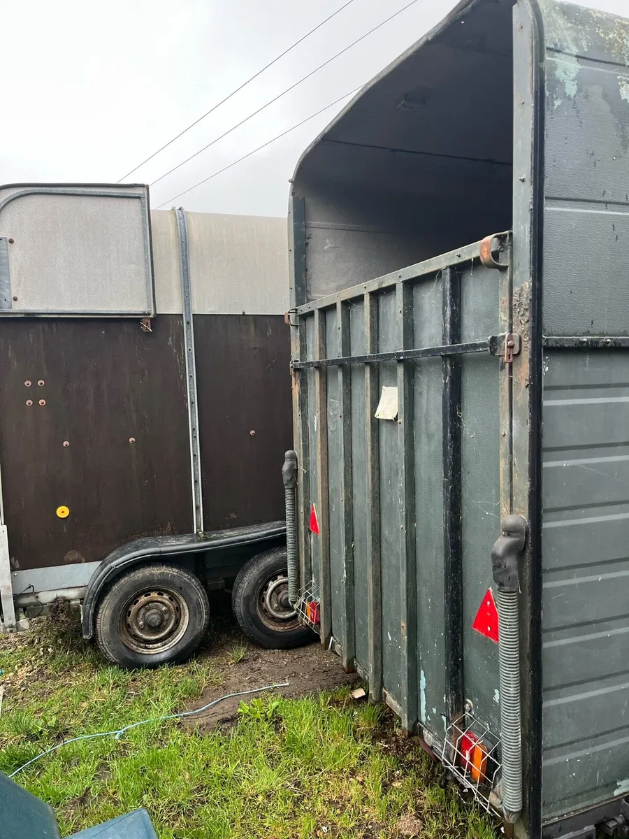 Westwood horse box - Image 3