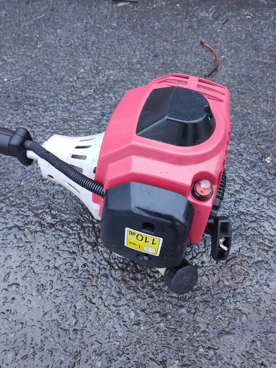 Grass strummers running very well priced - Image 2