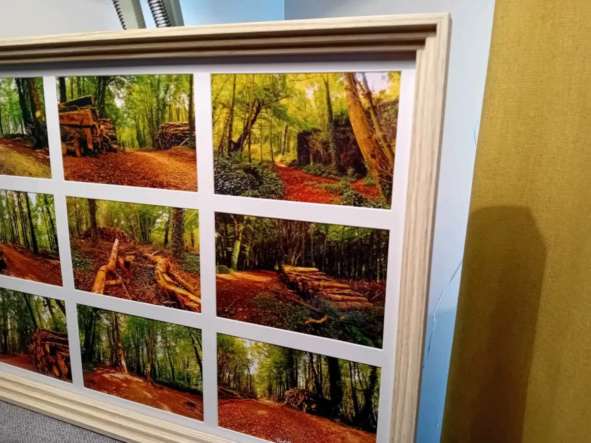 Rostellan Woods - Image 3