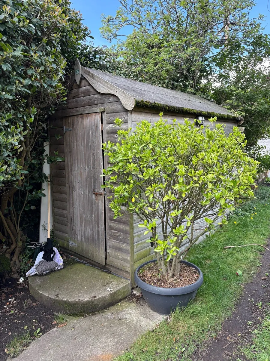 Garden Shed - Image 1