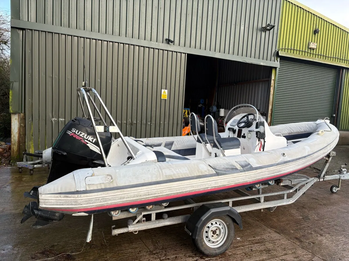 5m Ribeye Rib in need of repair - Image 3