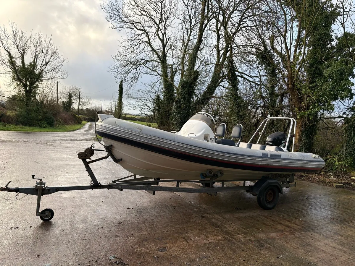 5m Ribeye Rib in need of repair - Image 4