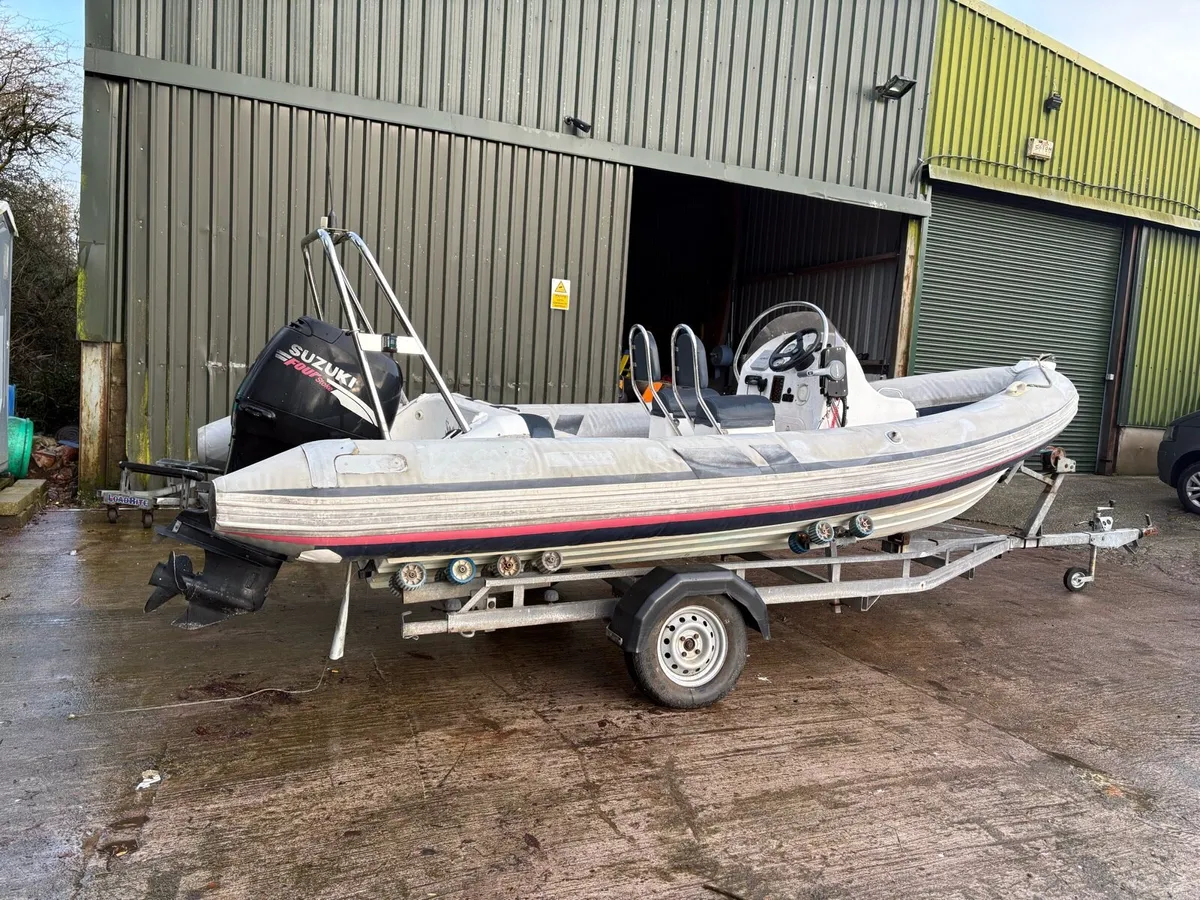 5m Ribeye Rib in need of repair - Image 2