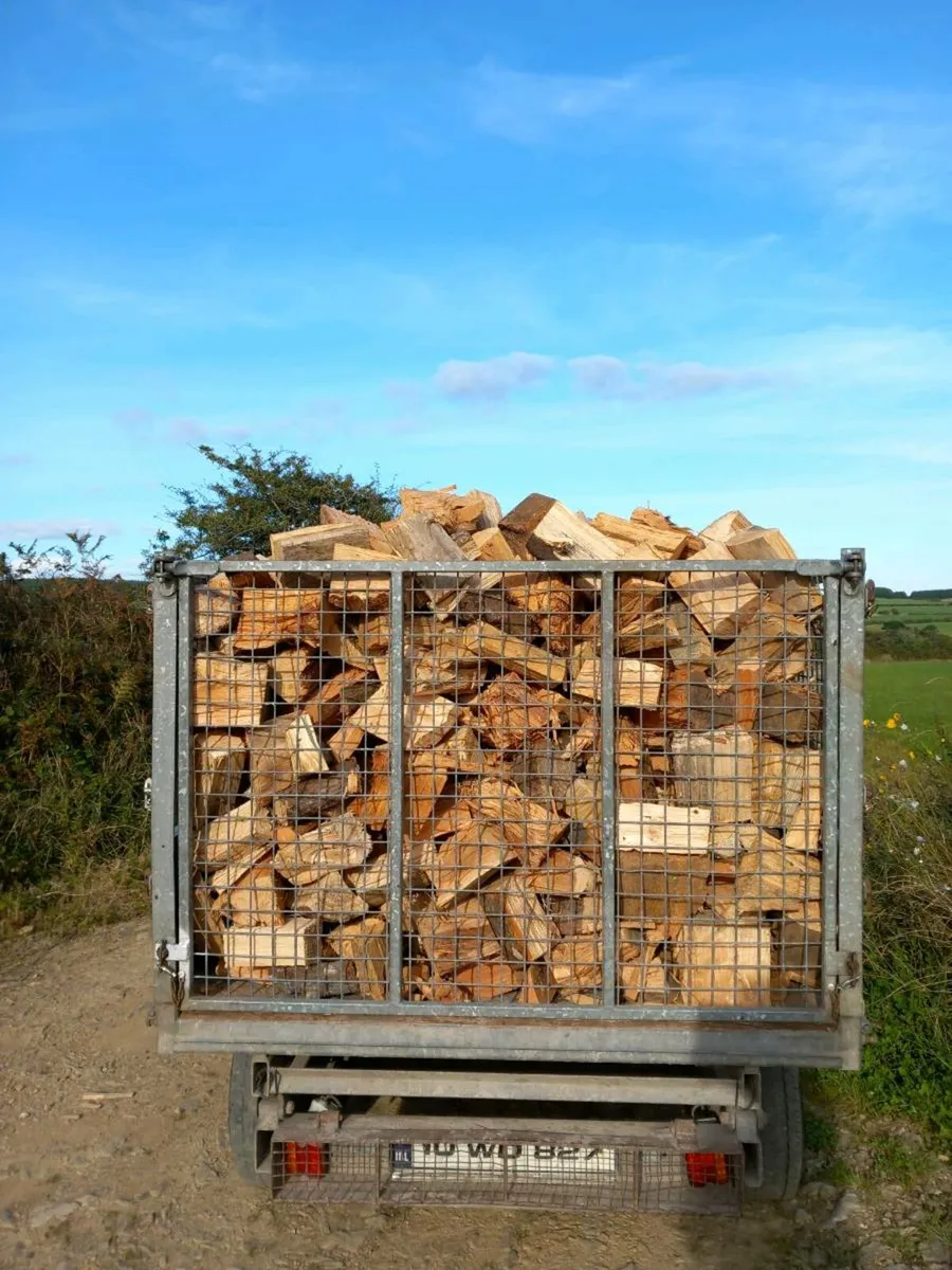 Firewood Cork City - Image 2