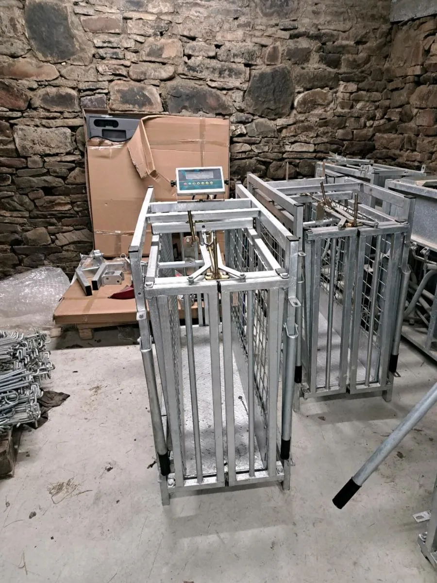 Sheep Scales - Image 1