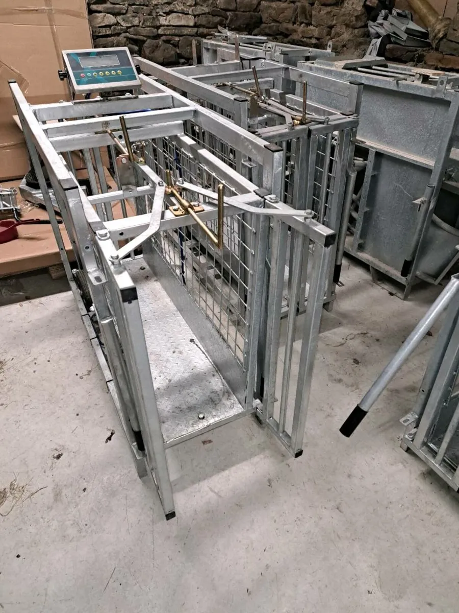 Sheep Scales - Image 2