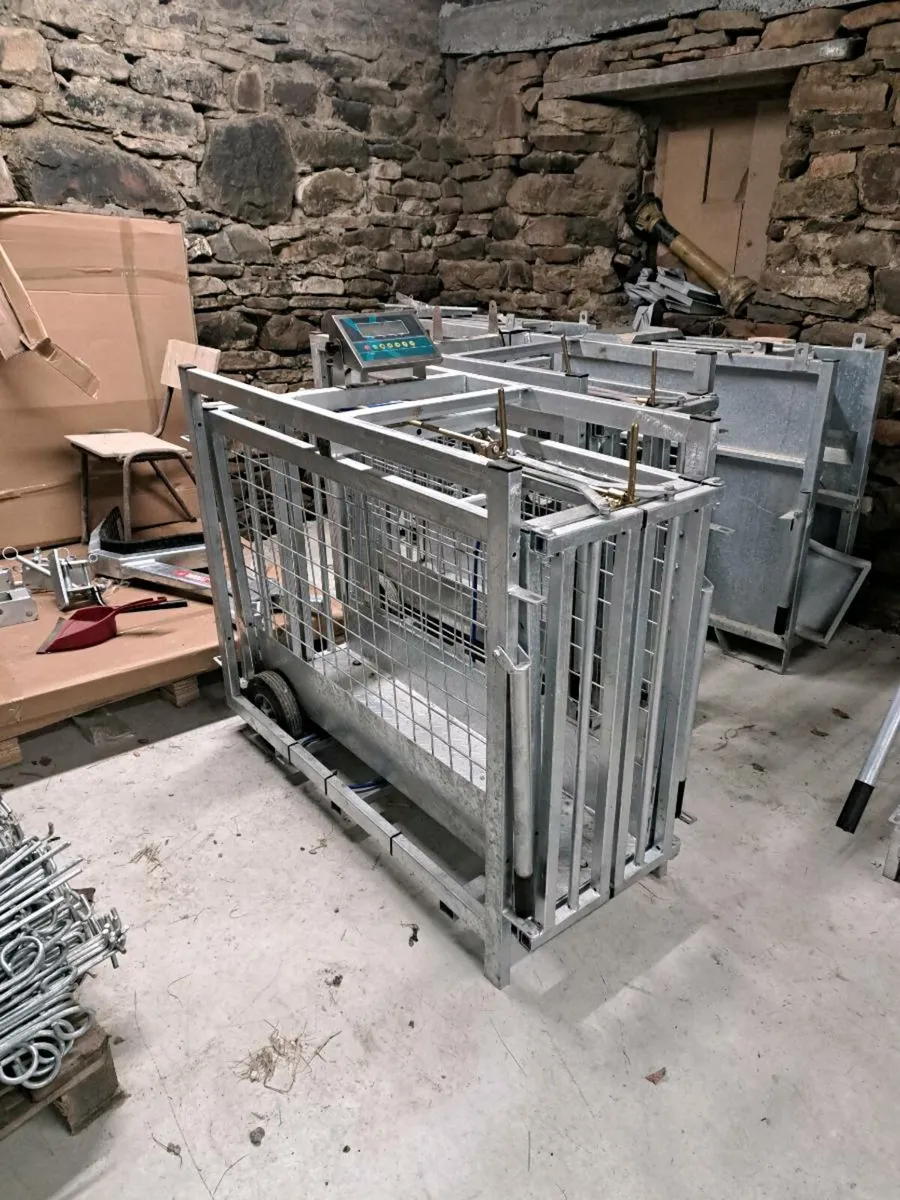 Sheep Scales - Image 3