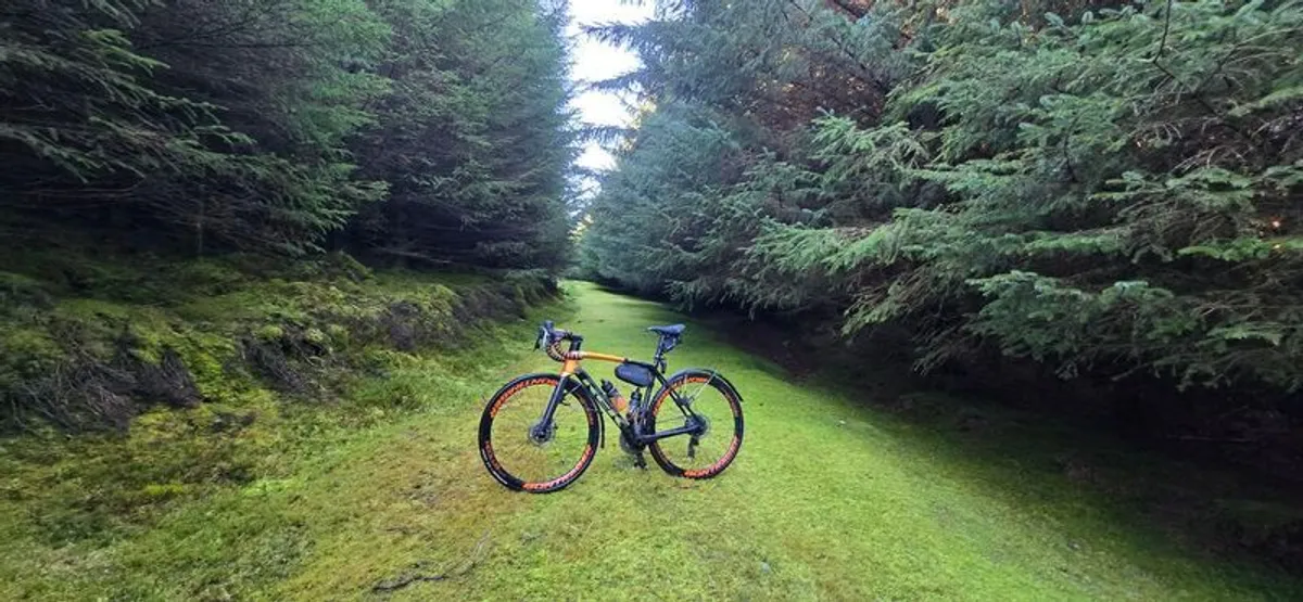 Trek Emonda SL7 - Size 54 - Carbon - Image 2