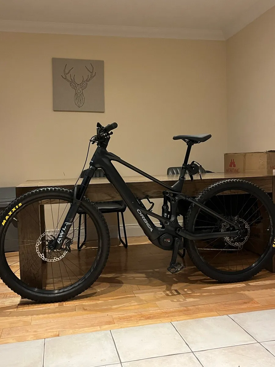 Mountain E-Bike - Image 1