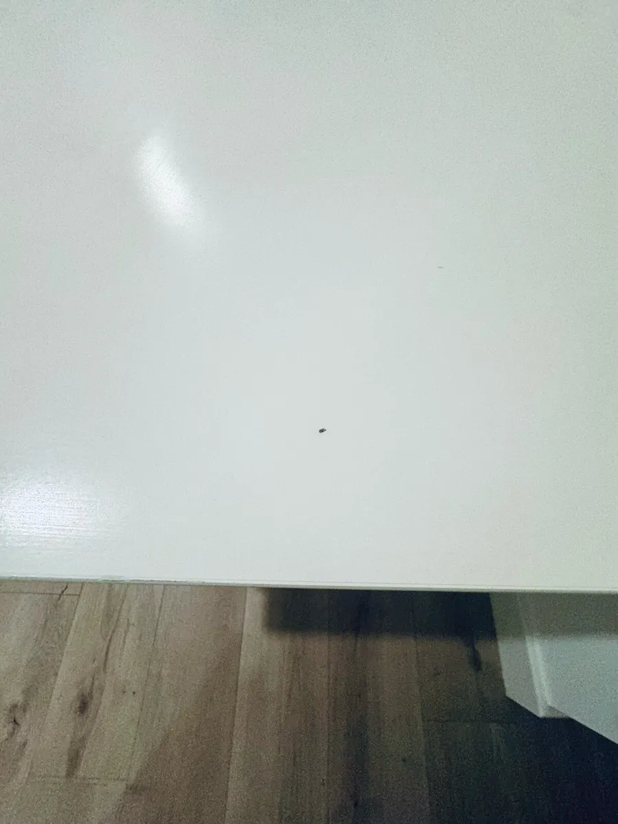 Extendable table - Image 4