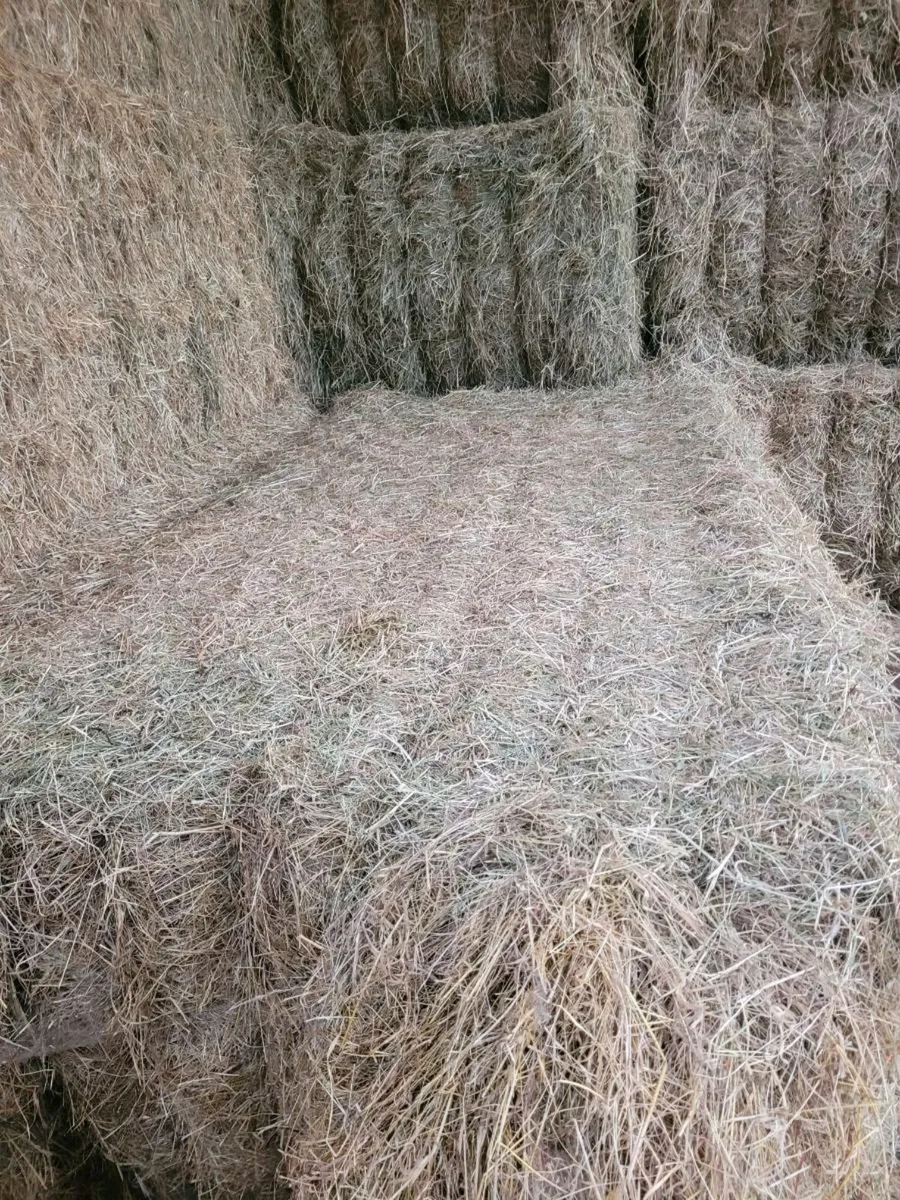 8x4x3 hay - Image 1