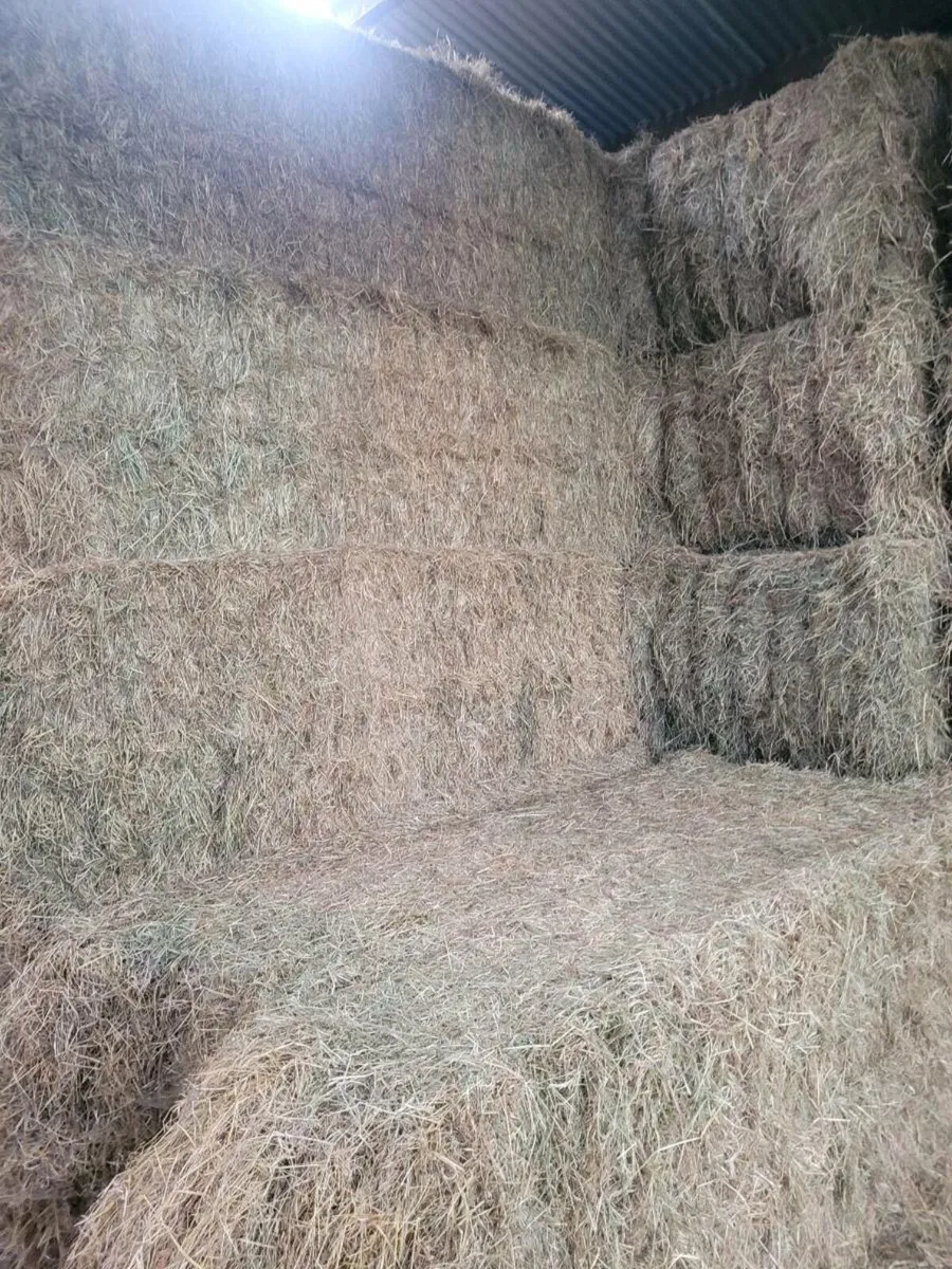 8x4x3 hay - Image 2