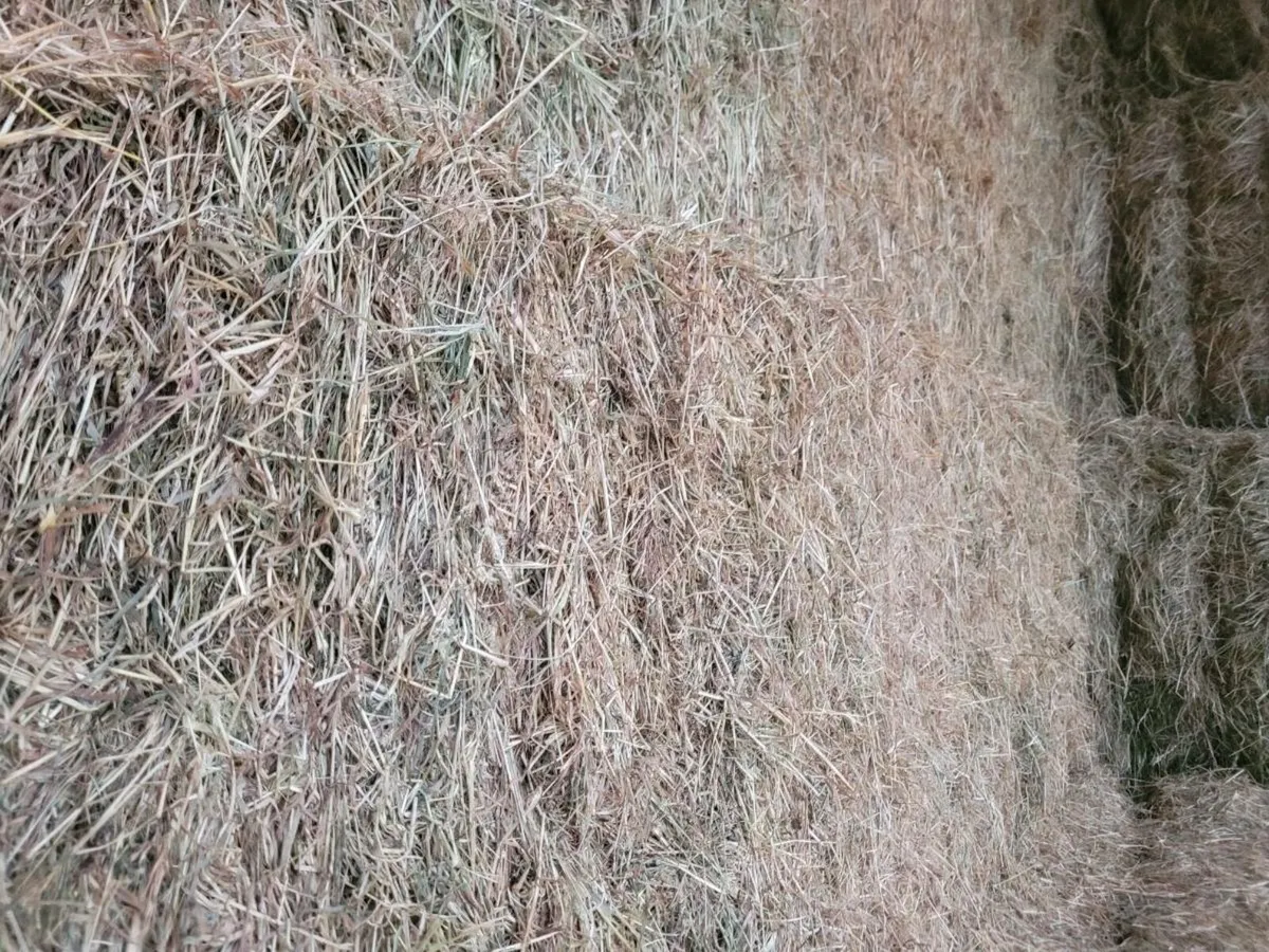 8x4x3 hay - Image 3