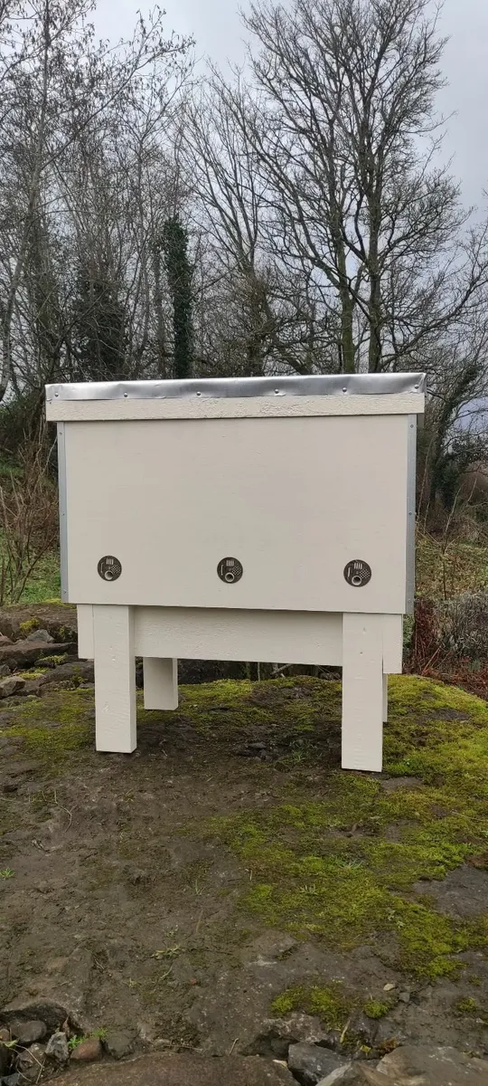 Layens horizontal Bee hive - Image 1