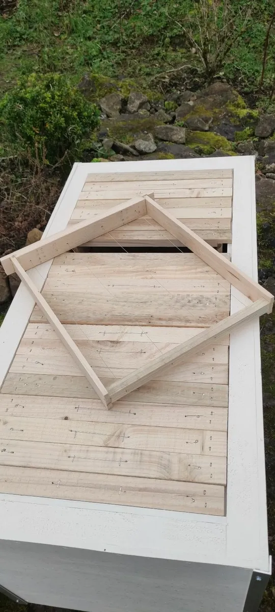 Layens horizontal Bee hive - Image 4