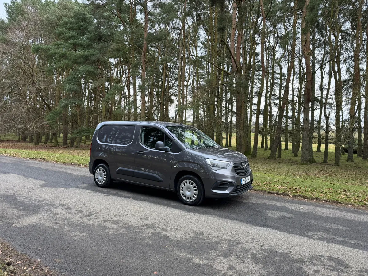 Opel Vauxhall Combo 2019 Van - Image 1