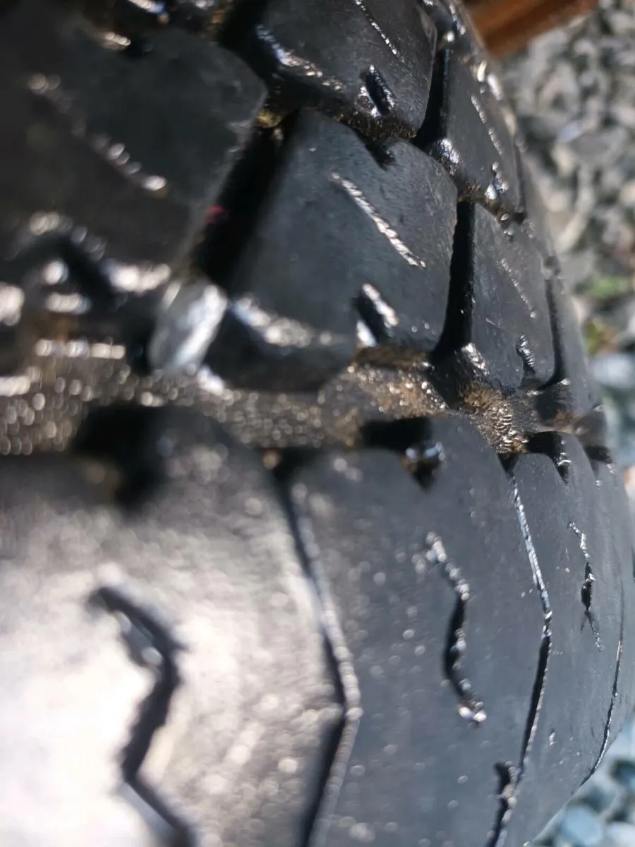 16ft Hudson Beavertail - Image 4