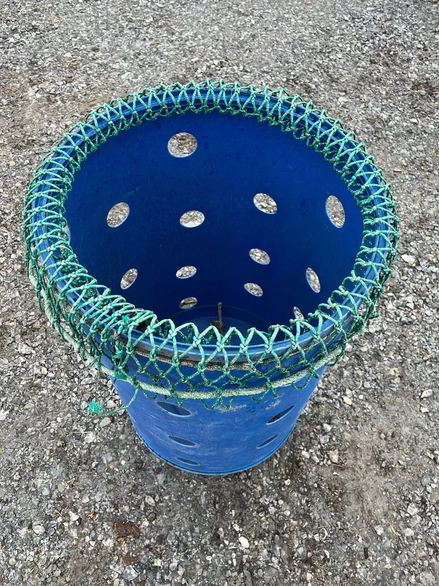 Crab storage barrels - Image 2