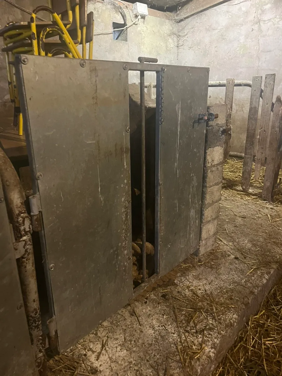 Lamb adoption gates - Image 1