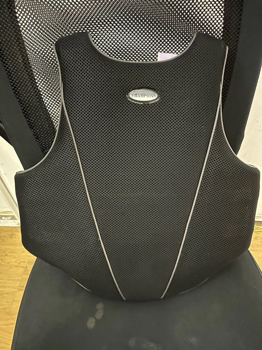 Champion Back Protector - Image 2