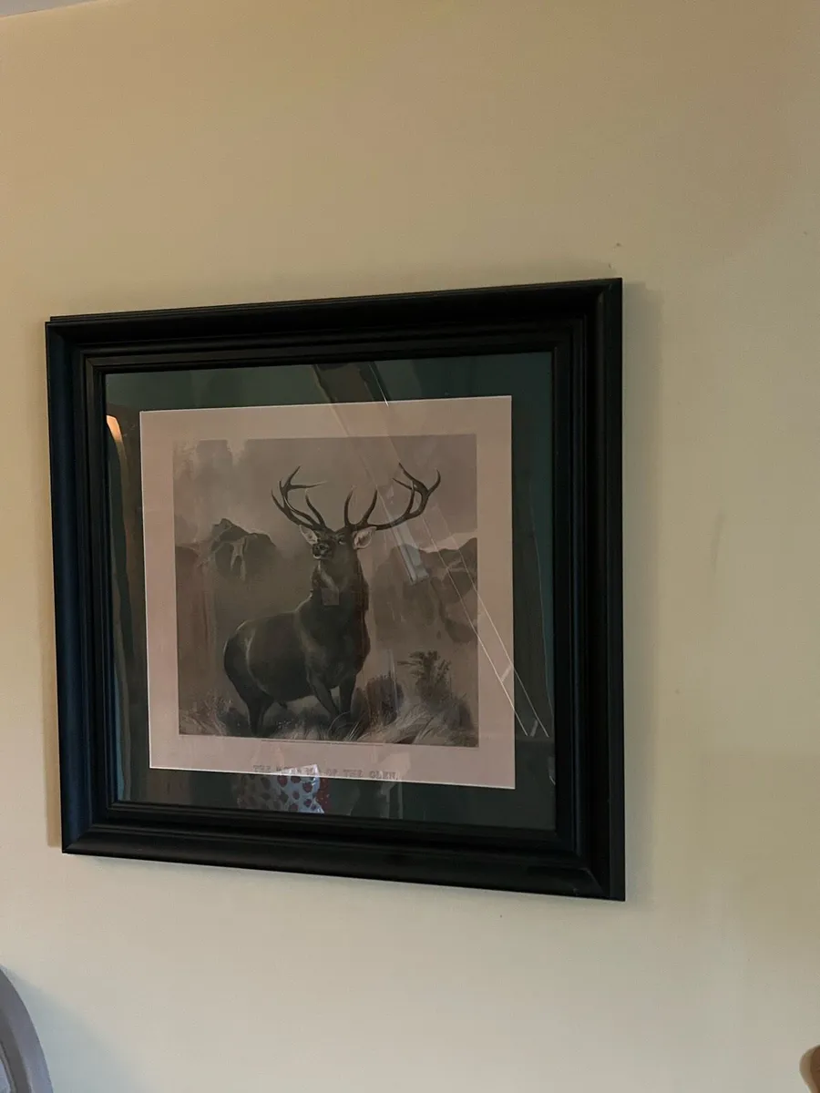 Red stag framed picture - Image 1