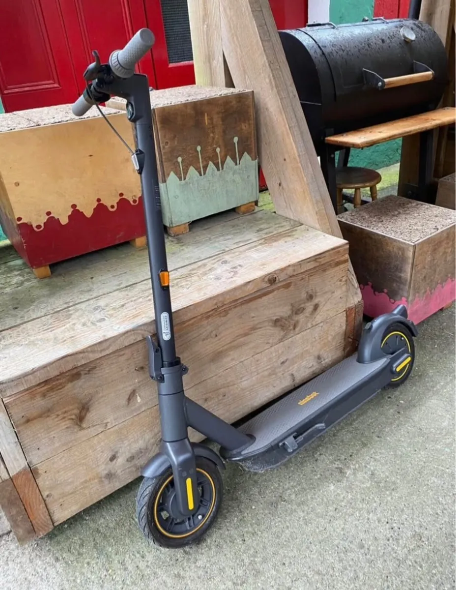 Electric Scooter - Image 1