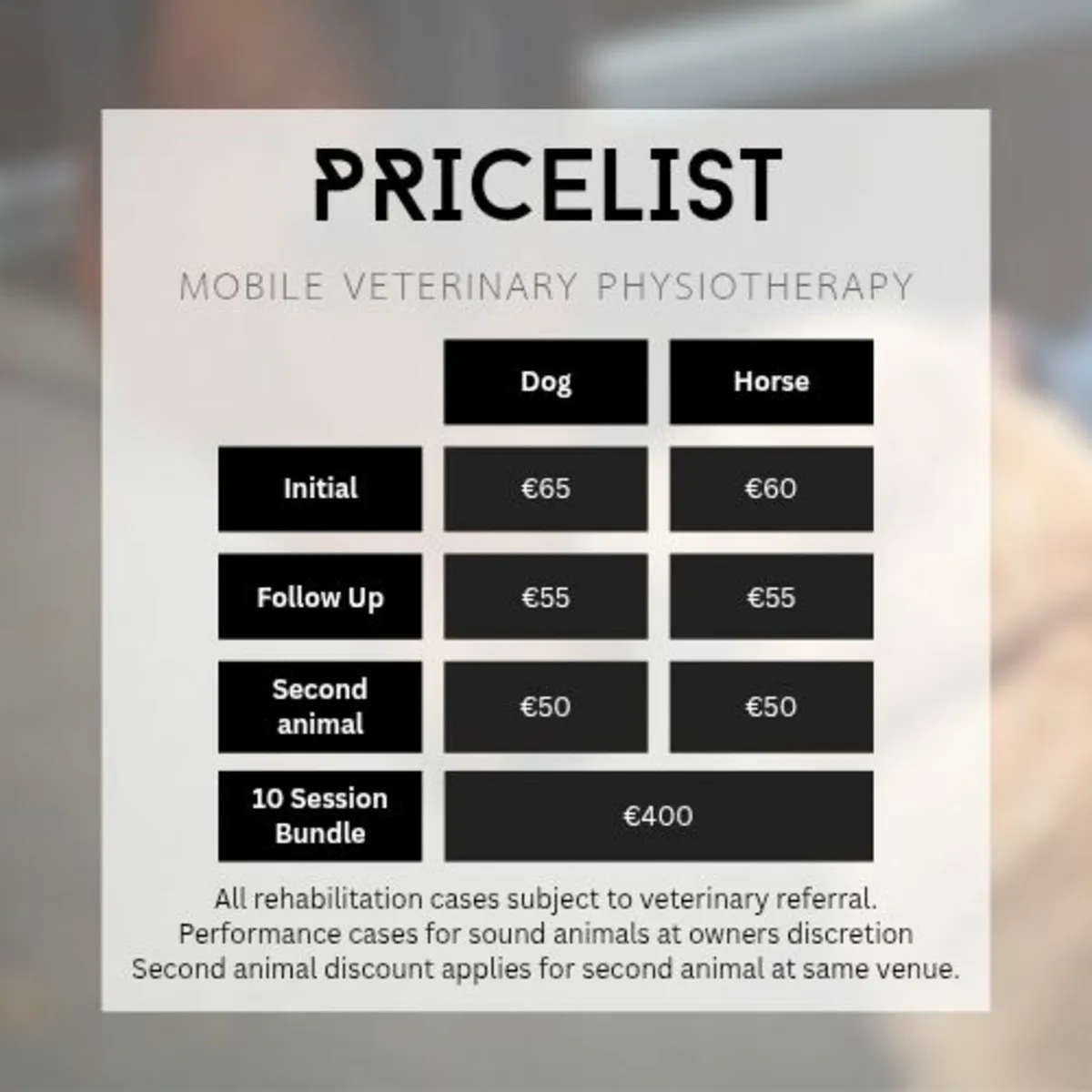 Veterinary Physiotherapy Service - Image 4