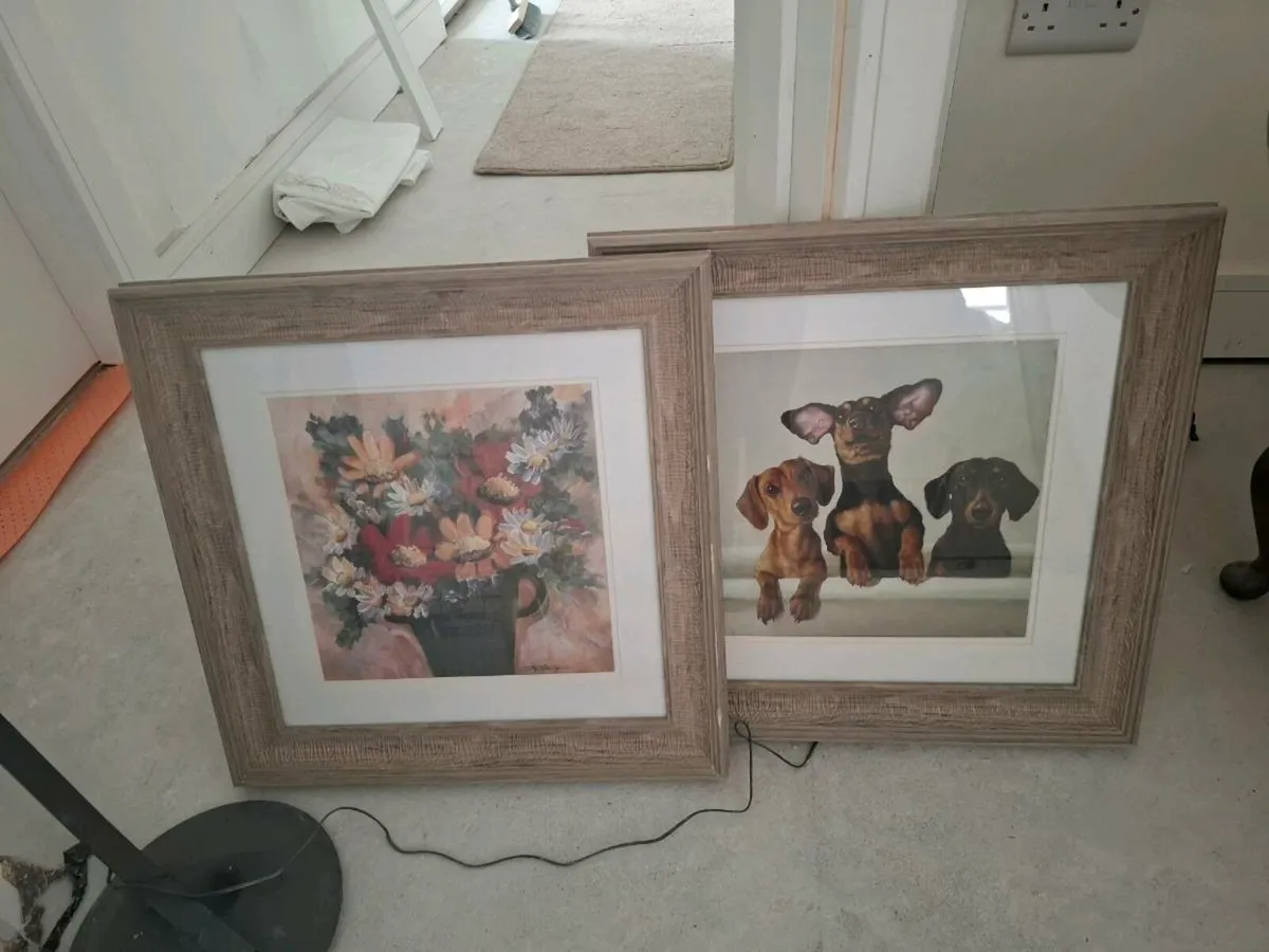 Misaleanous - Image 3