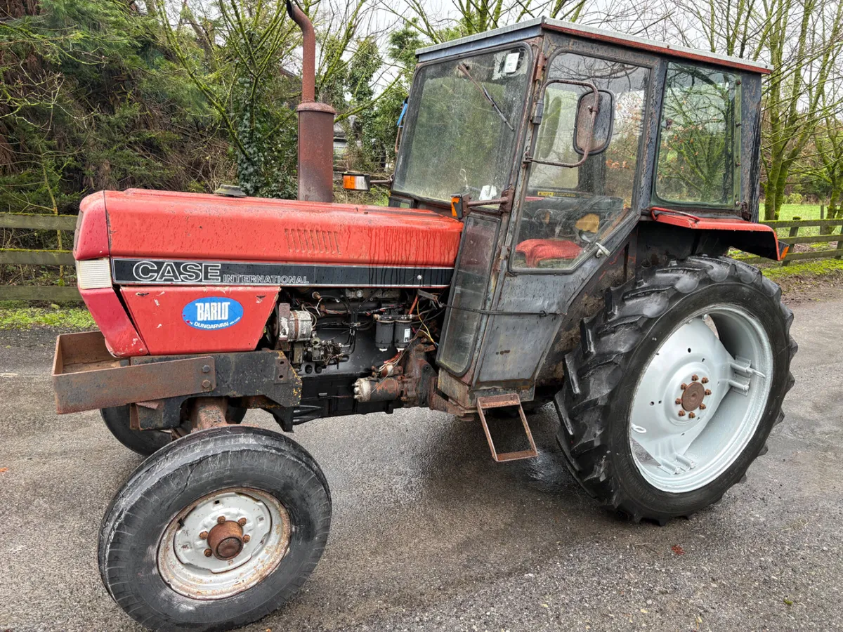 Case international - Image 2