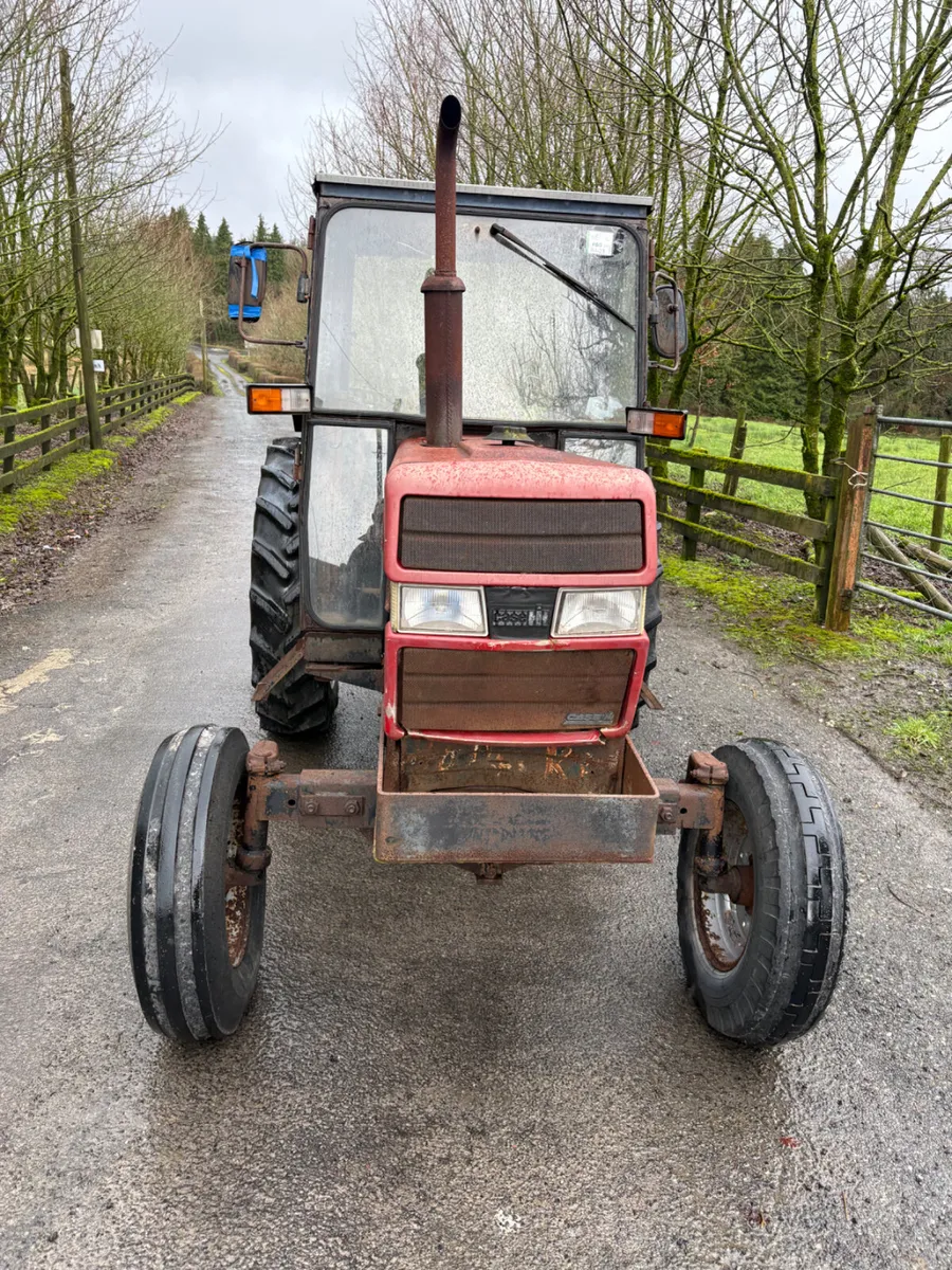 Case international - Image 3