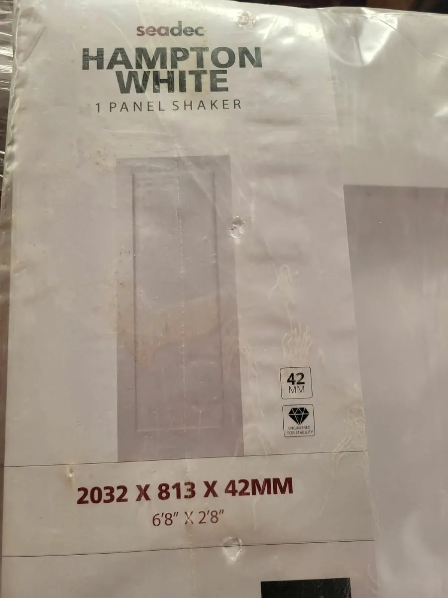 White Panel Door - Image 1