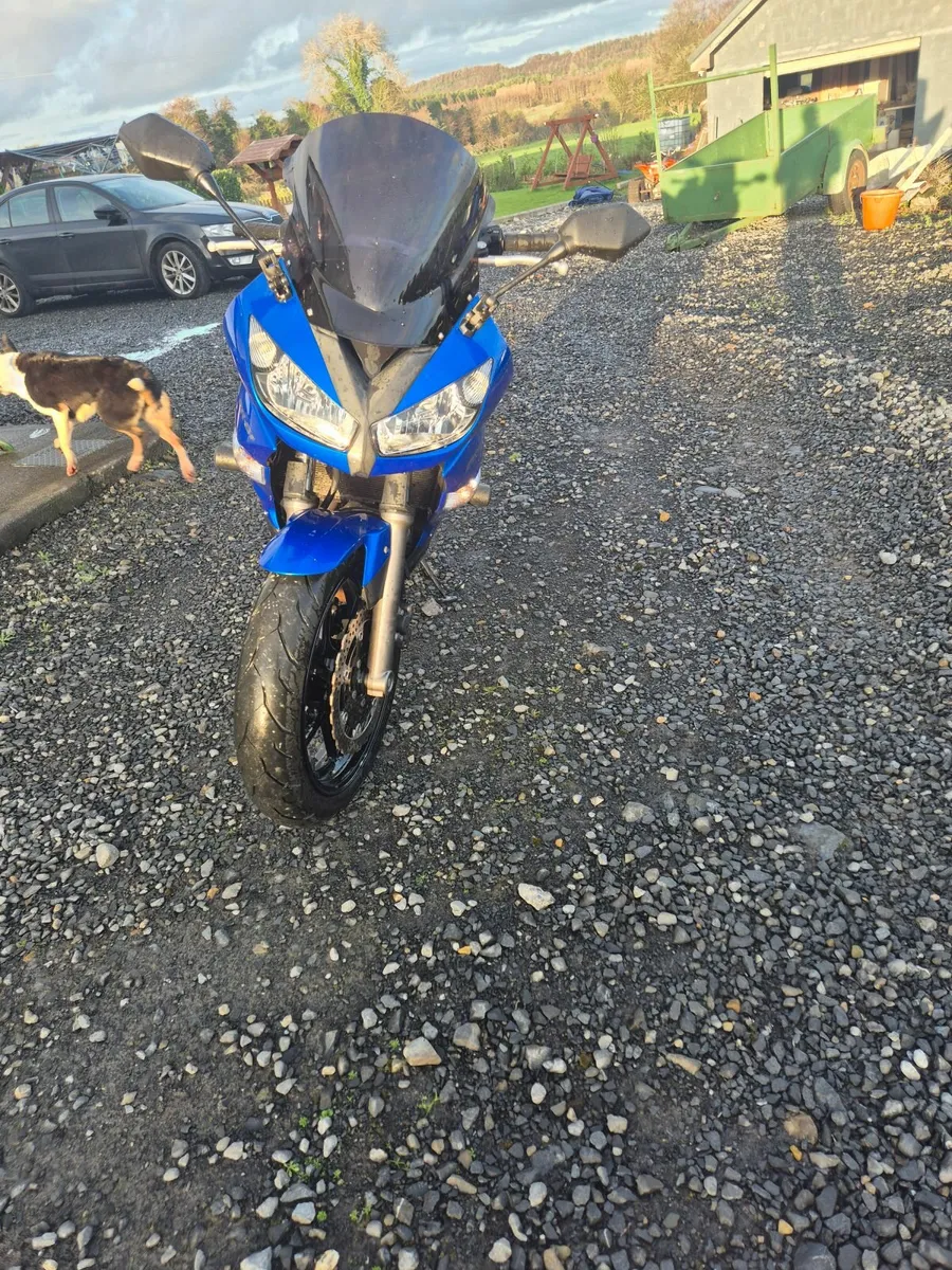 Kawasaki Other 2010 - Image 4