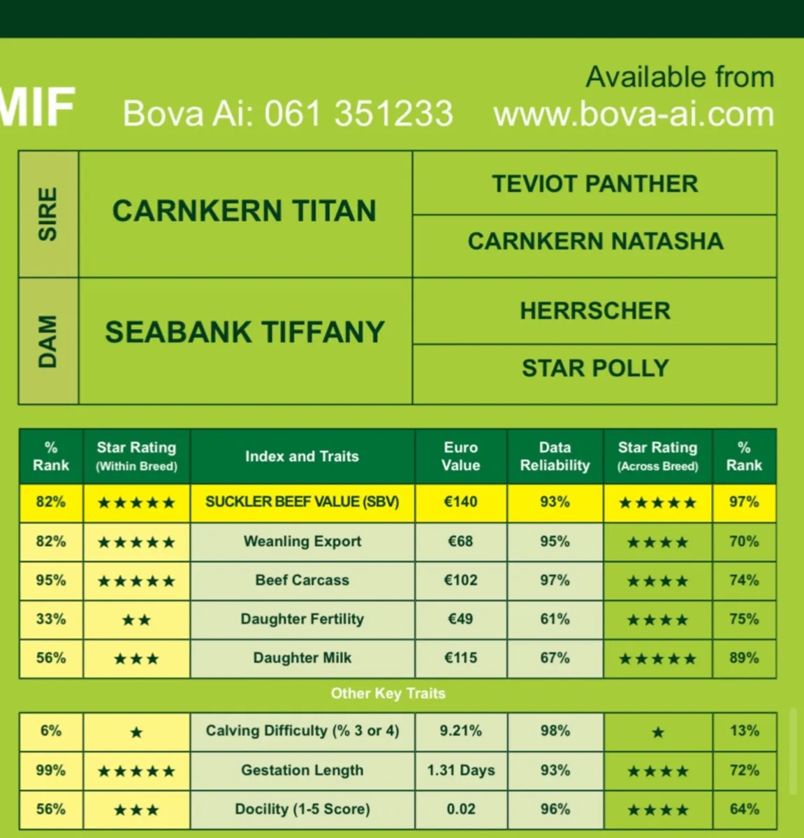 Bull semen- Milton lord Tiffoney - Image 2