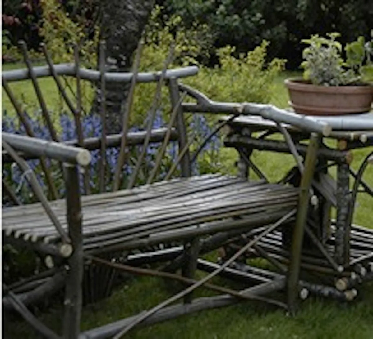 Willow Rods for weaving furniture, borders, basket - Image 3