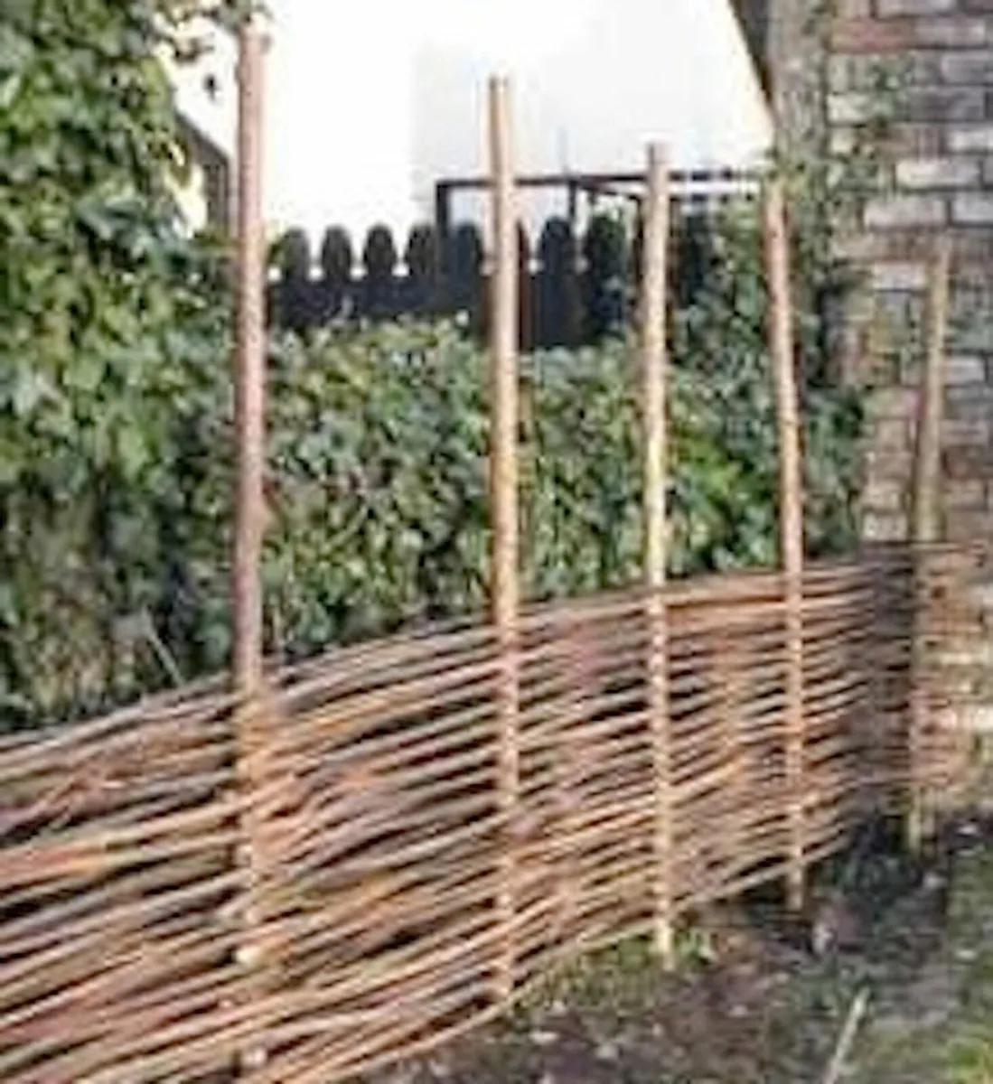 Willow Rods for weaving furniture, borders, basket - Image 4