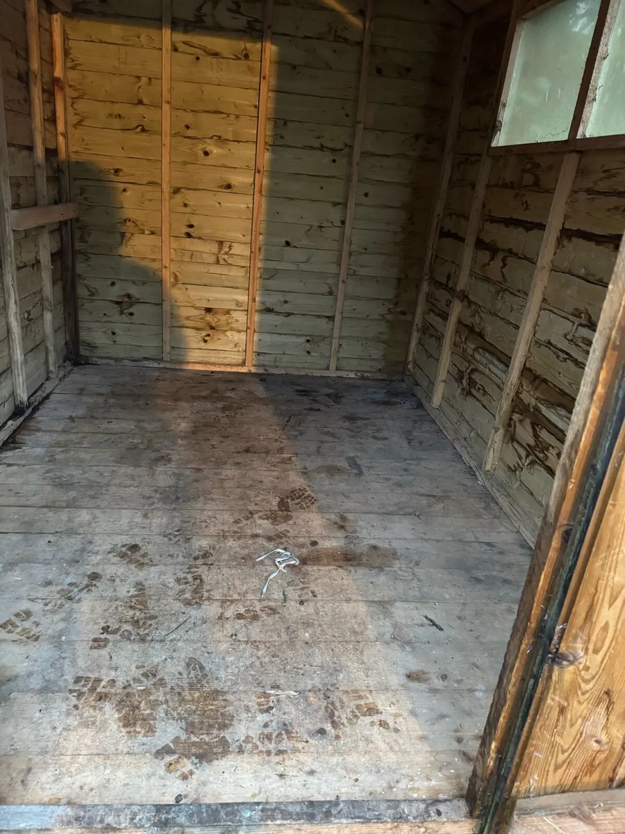 Shed - Image 3