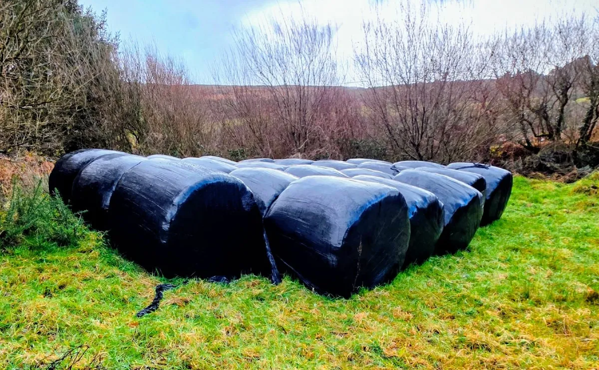 Silage Bales - Image 1