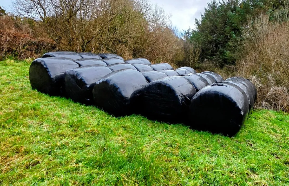 Silage Bales - Image 3