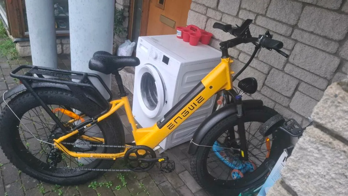 Electric bike - Image 1