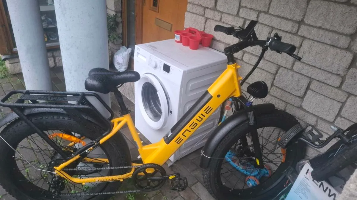 Electric bike - Image 2