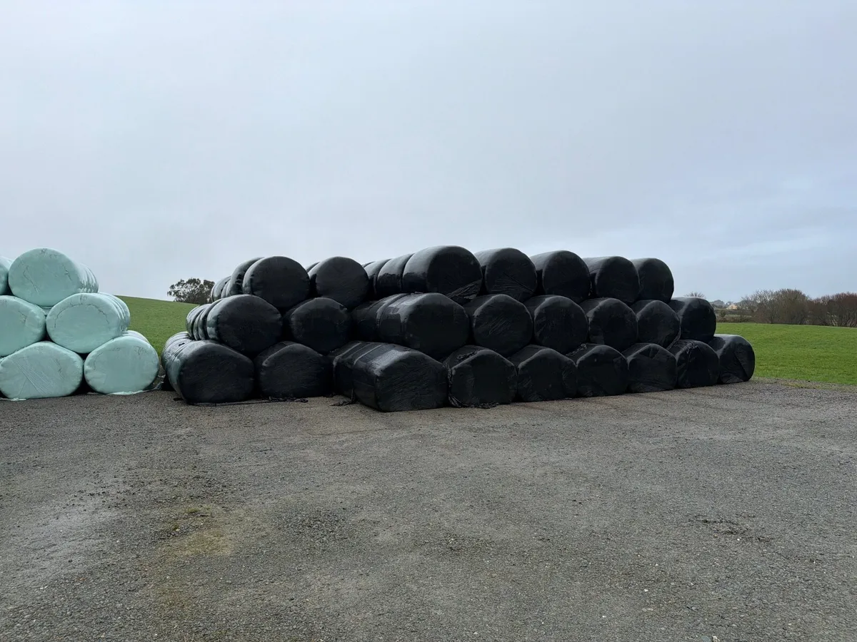 Silage forsale