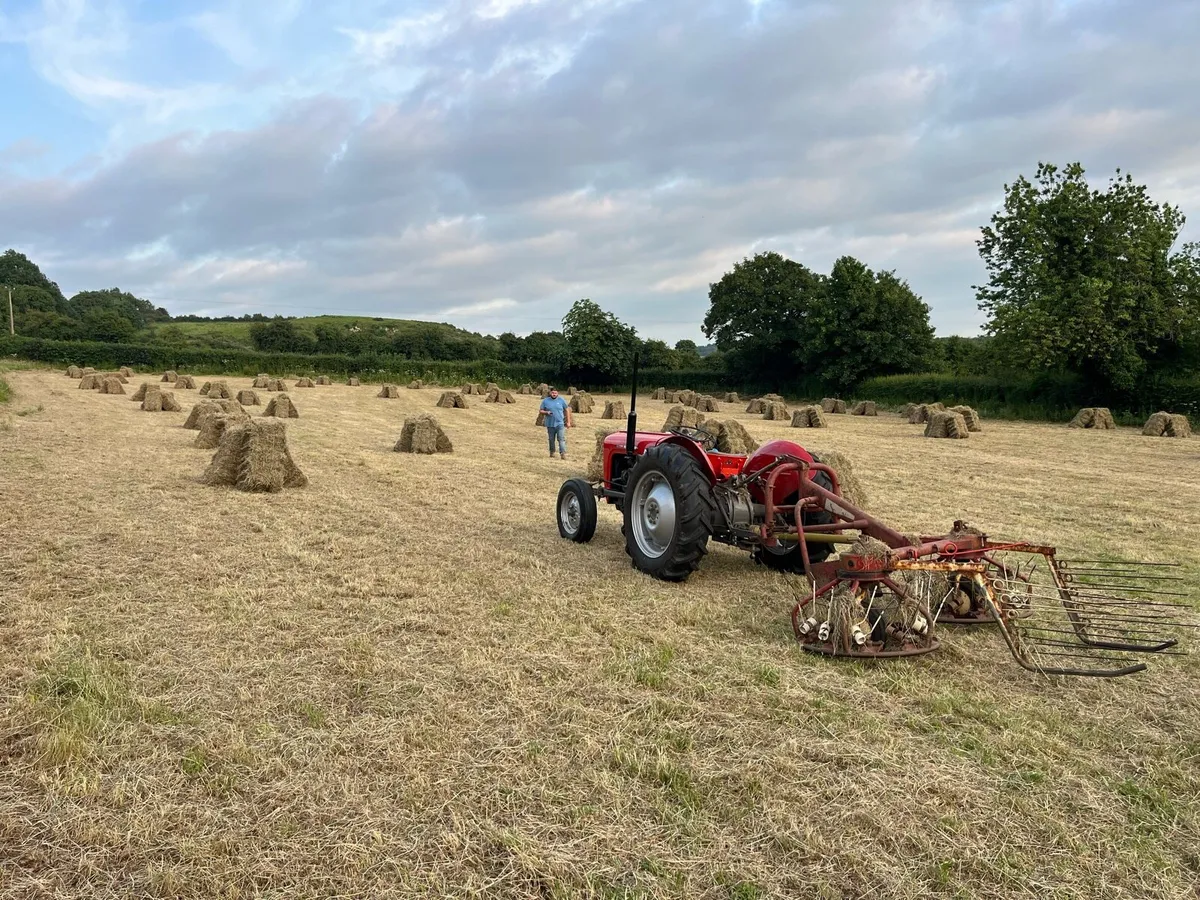 Small square bales - Image 1