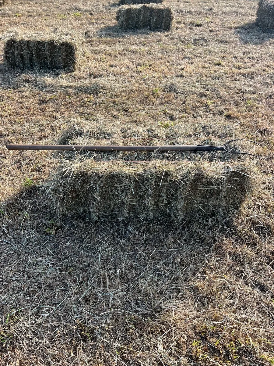 Small square bales - Image 2